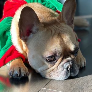 Meet your Posher, Eric